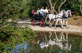 /storage/upload/tbl_products/Excursion-tour-in_Croatia_Konavle_172920.jpg